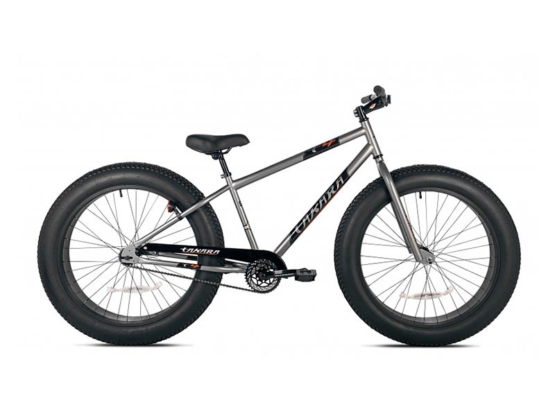 adult fat bike